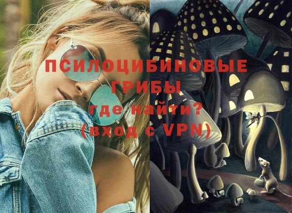 гашик Лабытнанги