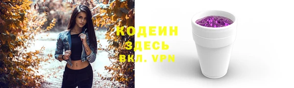 амф Ладушкин