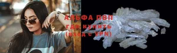 гашик Лабытнанги