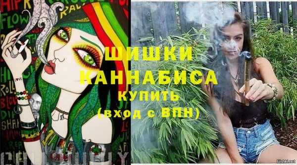амф Ладушкин