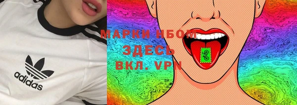 гашик Лабытнанги