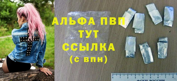 амф Ладушкин