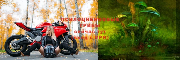 амф Ладушкин