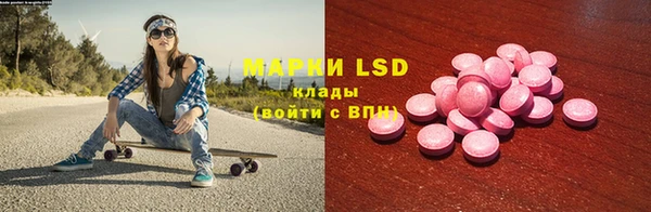 спайс Лагань