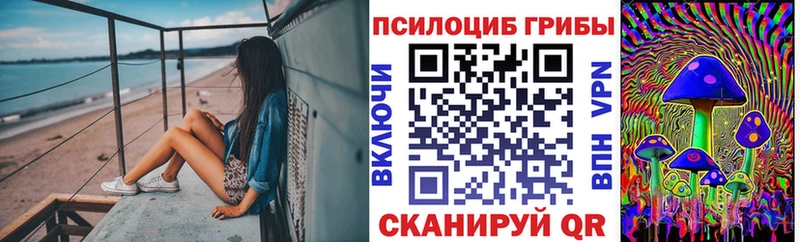 где найти Юрюзань Псилоцибиновые грибы прущие грибы